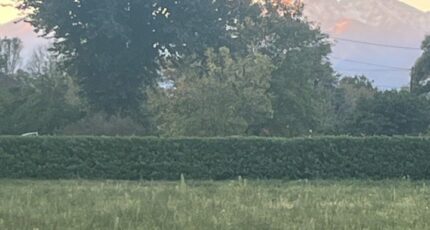 Lespouey Maison neuve - 2319331-902annonce3202510270iqIS.jpeg Maisons Bruno Petit GHPA