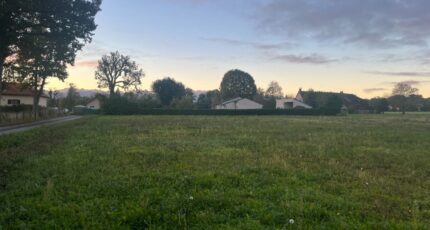 Lespouey Terrain à bâtir - 2319327-902annonce120251027mzzNb.jpeg Maisons Bruno Petit GHPA