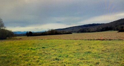 Oursbelille Maison neuve - 2327272-10558annonce320250203IuEN4.jpeg Maisons Bruno Petit GHPA