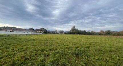 Juillan Terrain à bâtir - 2429939-902annonce120260216aOMzw.jpeg Maisons Bruno Petit GHPA