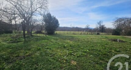 Beauchalot Maison neuve - 2373268-4594annonce120251219WDARy.jpeg Maisons Bruno Petit GHPA