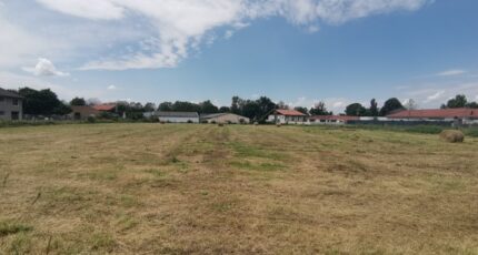 Juillan Terrain à bâtir - 2377554-10558annonce120250905t54VH.jpeg Maisons Bruno Petit GHPA