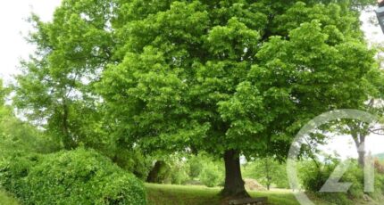 Laffite-Toupière Maison neuve - 2443581-4594annonce420260227DDO47.jpeg Maisons Bruno Petit GHPA