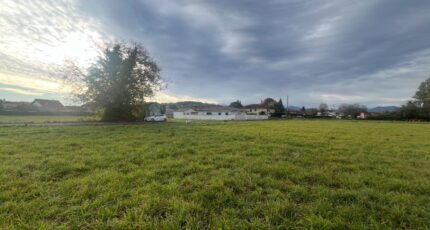 Juillan Terrain à bâtir - 2447839-902annonce2202603049iJFQ.jpeg Maisons Bruno Petit GHPA