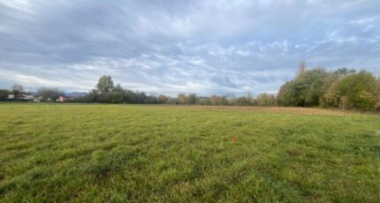 Juillan Terrain à bâtir - 2447839-902annonce3202603040hQX6.jpeg Maisons Bruno Petit GHPA